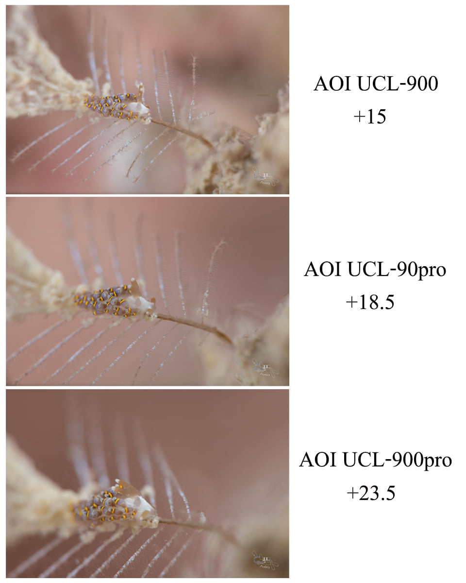 AOI UCL-90PRO Underwater +18.5 Close-up Lens