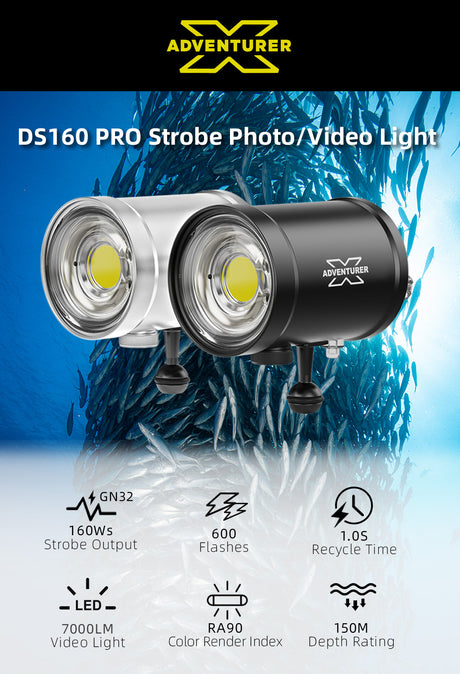 DS160 PRO Strobe Flash Light - PRODIVE