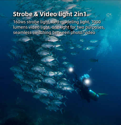 DS160 PRO Strobe Flash Light - PRODIVE