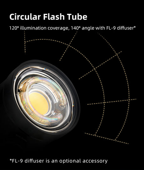 DS160 PRO Strobe Flash Light - PRODIVE