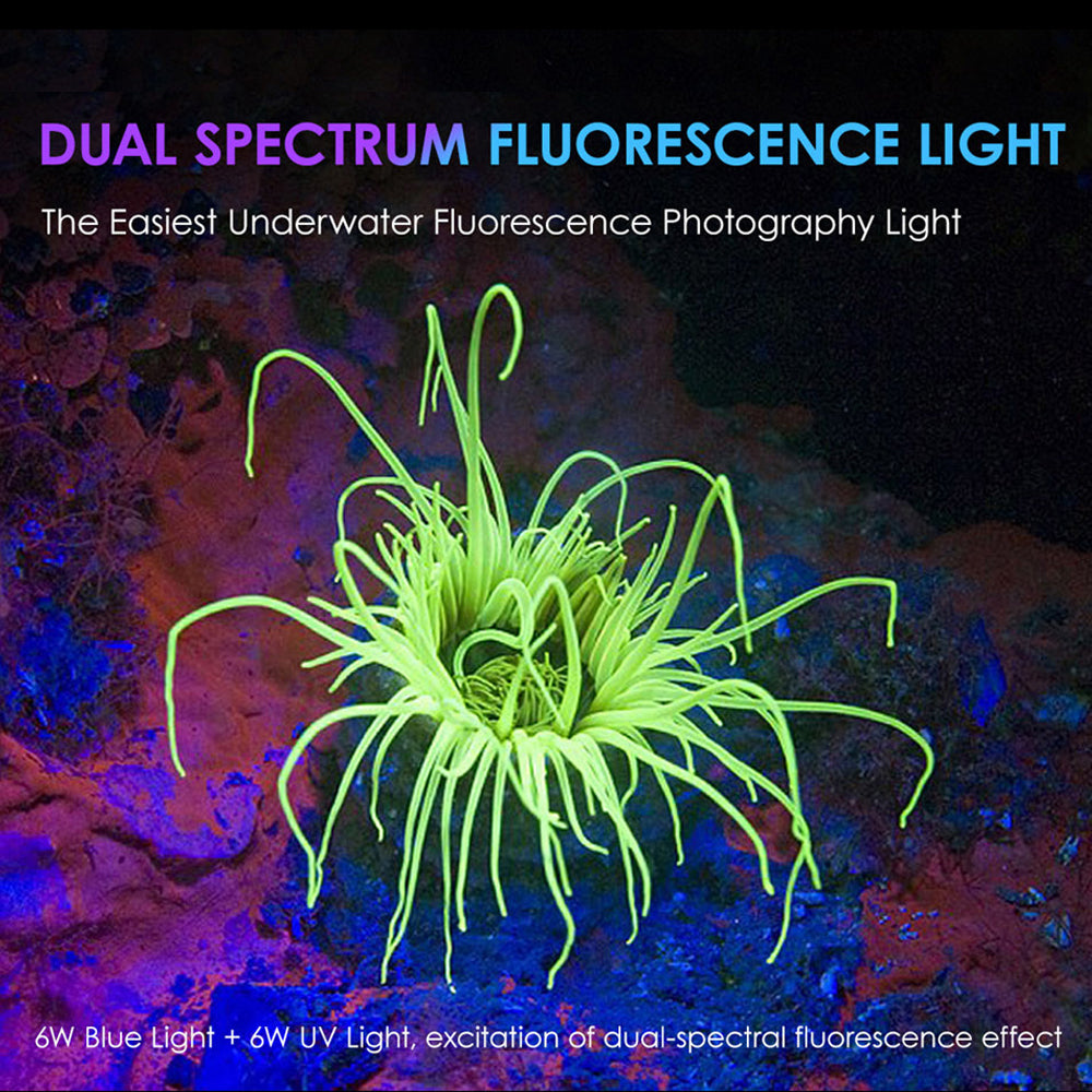 X-adventurer M2000-WRBGUA Smart Focus Video Light (Wide light + RGB UV light + Auto-Shut-Off) - PRODIVE