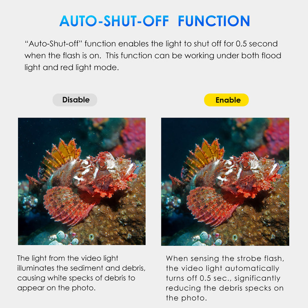 X-adventurer M2000-WRBGUA Smart Focus Video Light (Wide light + RGB UV light + Auto-Shut-Off) - PRODIVE