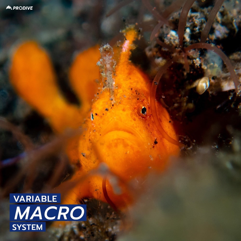 OM SYSTEM TOUGH TG7 SET