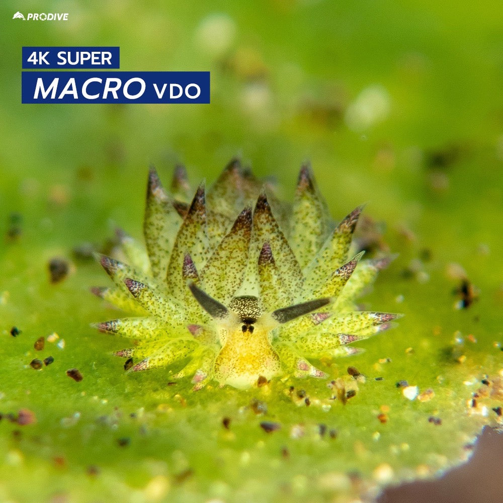 OM SYSTEM TOUGH TG7 SET