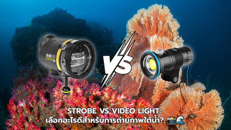 Strobe vs Video Light: เลือกอะไรดีสำหรับการถ่ายภาพใต้น้ำ? 📸🌊