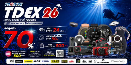 PRODIVE TDEX26