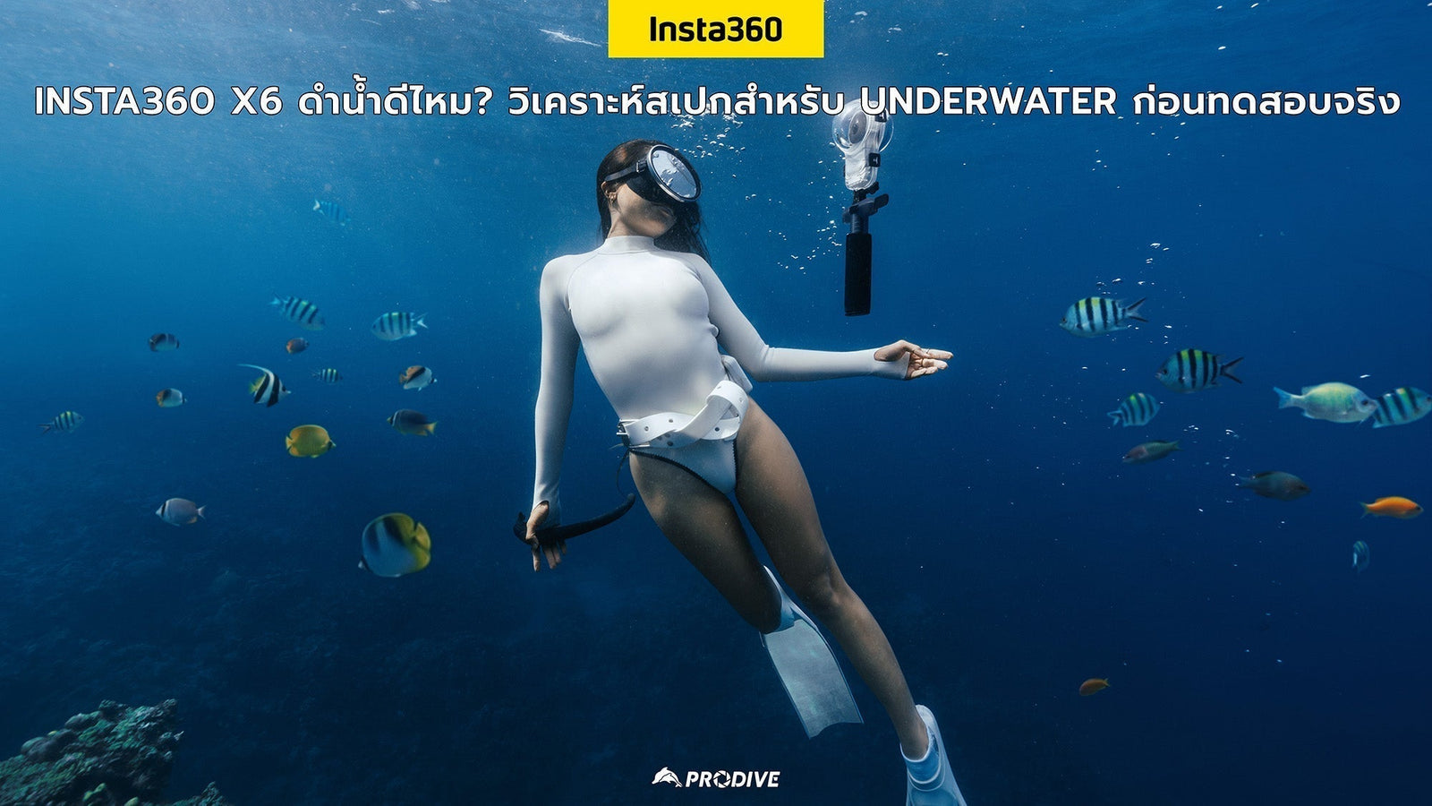 Insta360 X6 ดำน้ำดีไหม? วิเคราะห์สเปกสำหรับ Underwater ก่อนทดสอบจริง