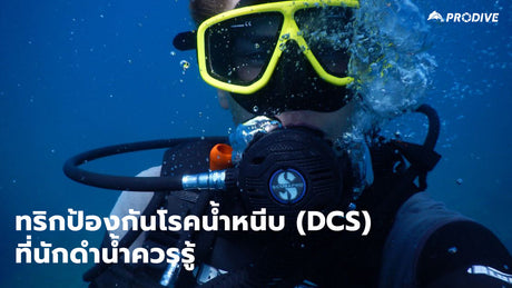 ทริกป้องกันโรคน้ำหนีบ (DCS) ที่นักดำน้ำควรรู้