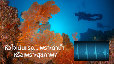 หัวใจเต้นแรง...เพราะดำน้ำ หรือเพราะสุขภาพ?