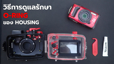 วิธีการดูแลรักษา O-ring ของ Housing
