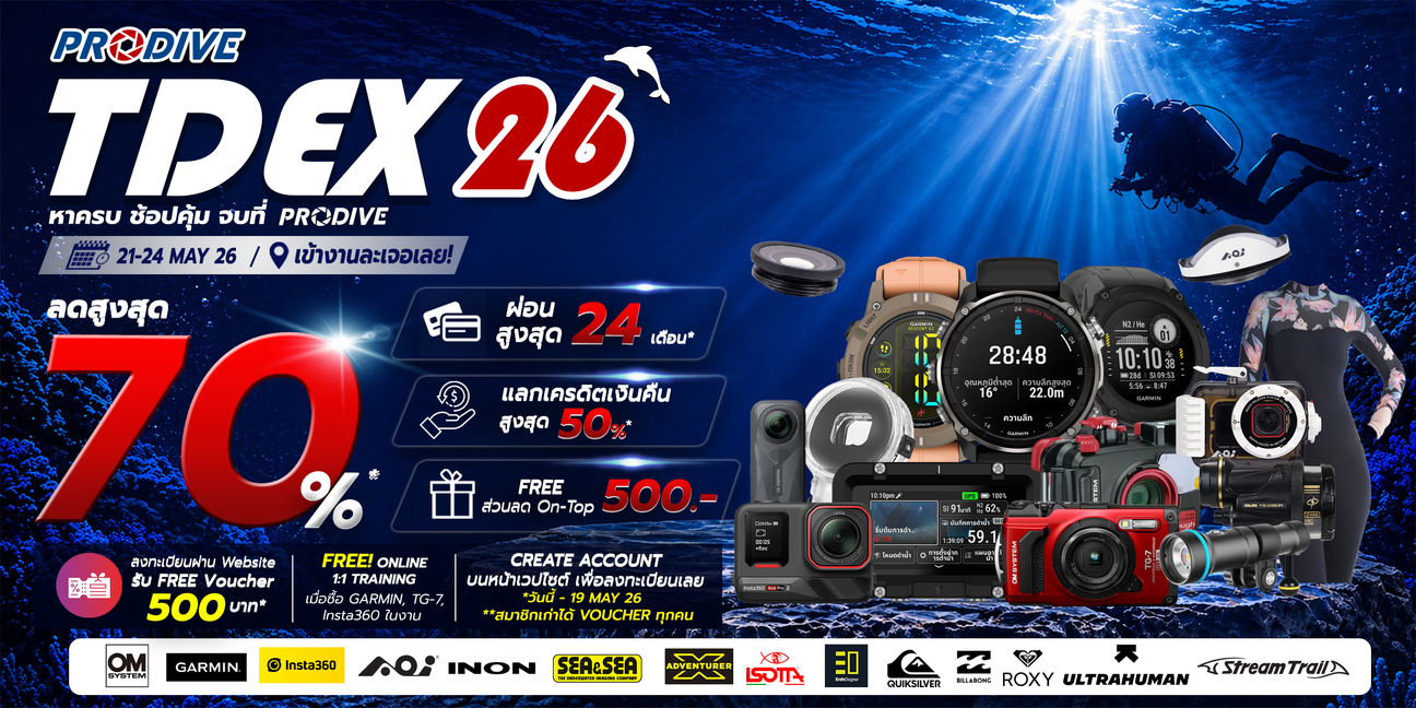 TDEX2026 Special Deal