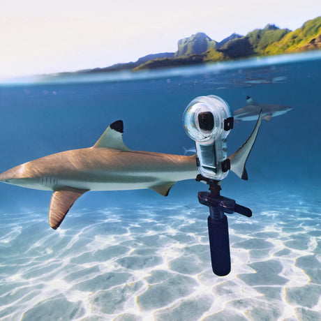 Insta360 Dive Buddy - PRODIVE