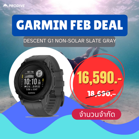 Garmin Descent G1 Slate Gray - PRODIVE
