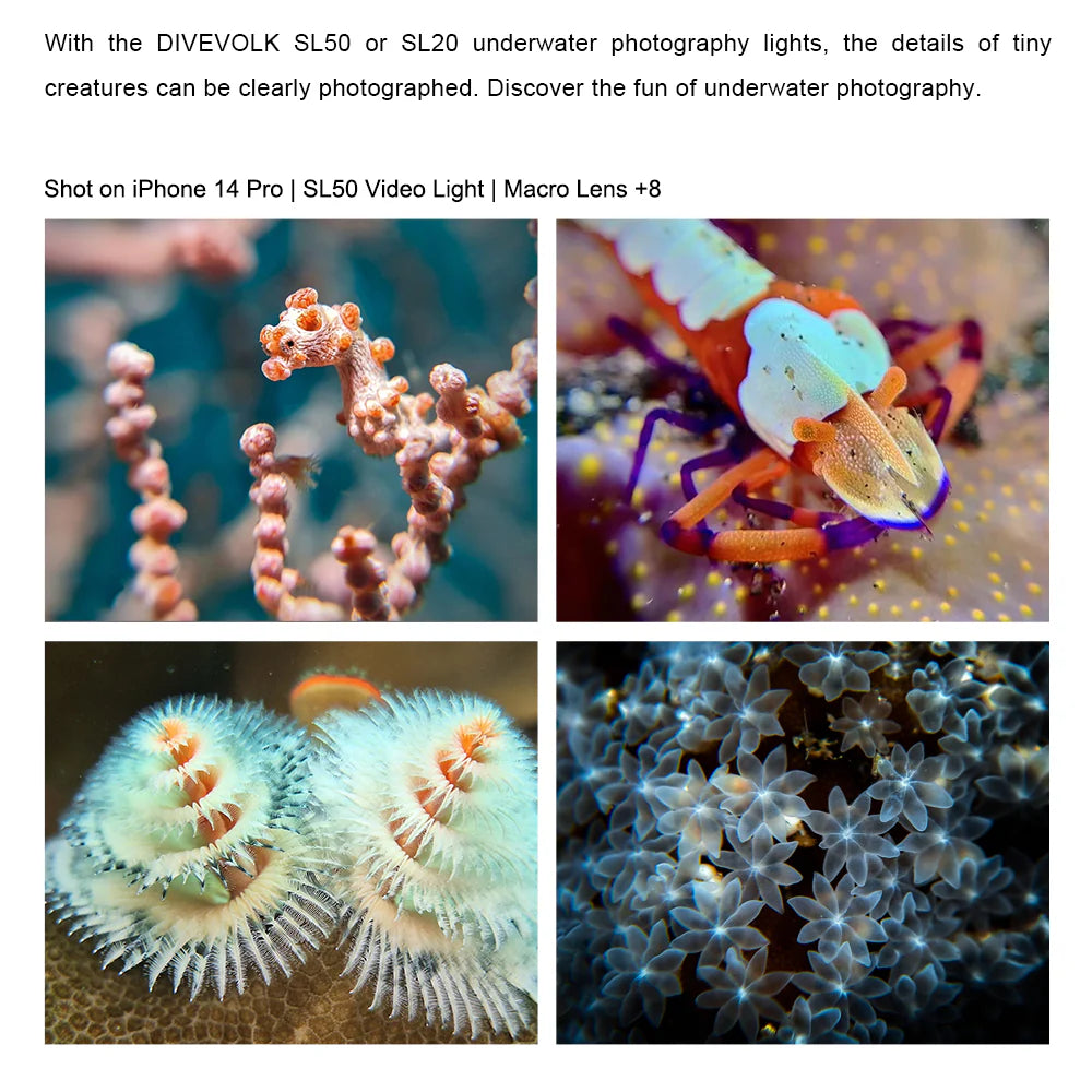 DIVEVOLK Underwater +8 Close-up Lens