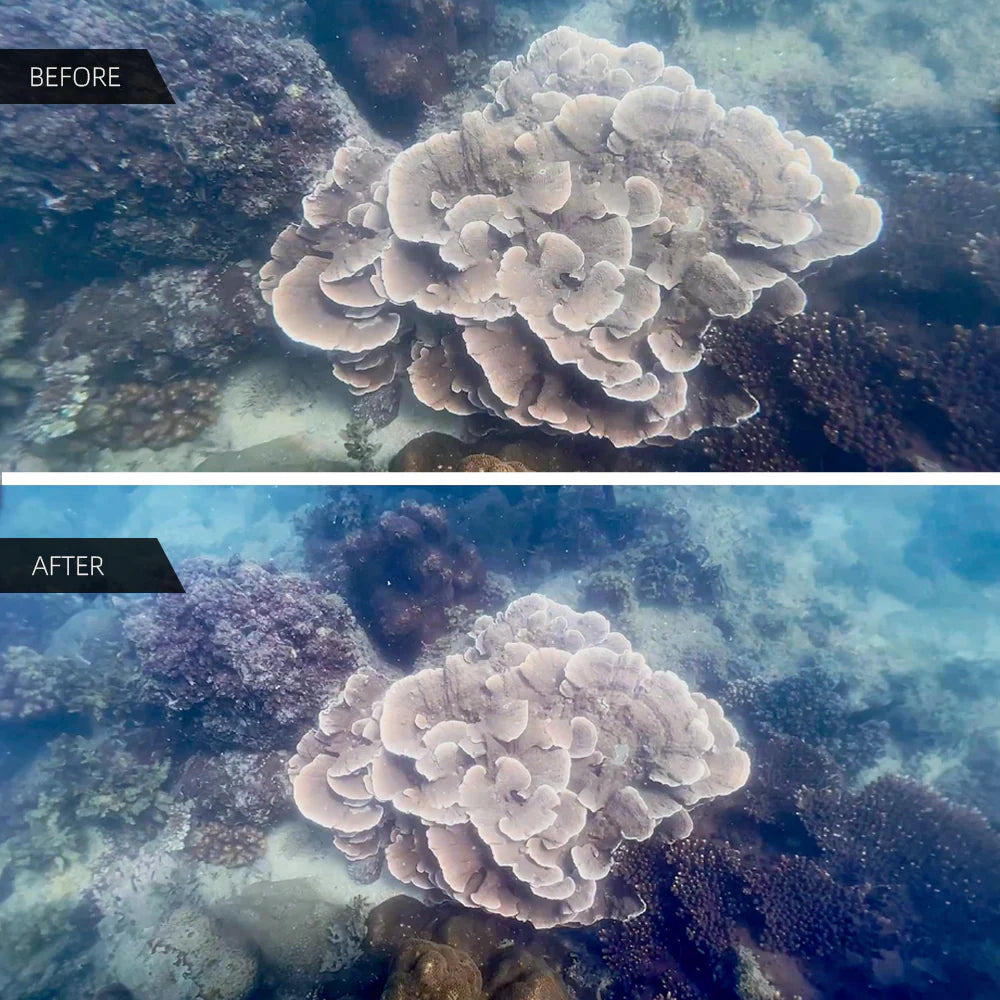 DIVEVOLK Underwater Wide-angle Conversion Lens X0.6 for DIVEVOLK Housing