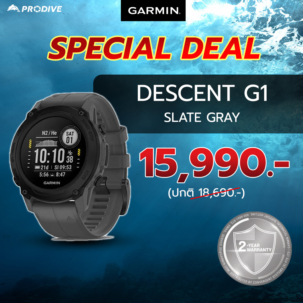 Garmin Descent G1 Slate Gray