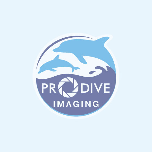 Prodive Imaging Official | RGBlue System02 Premium Color