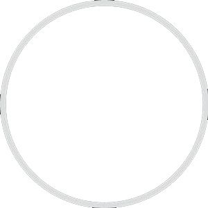 FANTASEA Main White O-Ring for FG7X Housing Serie